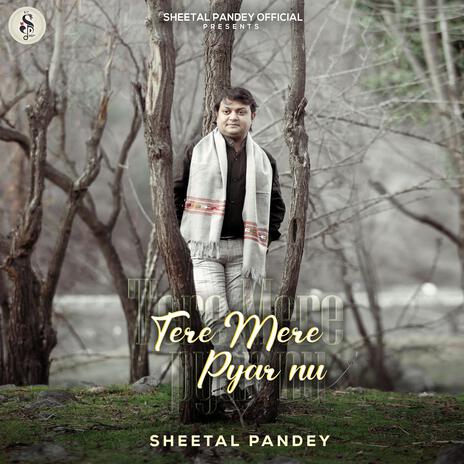 Tere Mere Pyar Nu | Boomplay Music