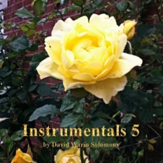 Instrumentals 5