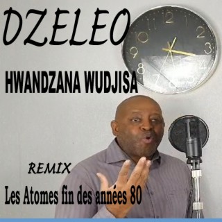 Hwandzana Wudjisa