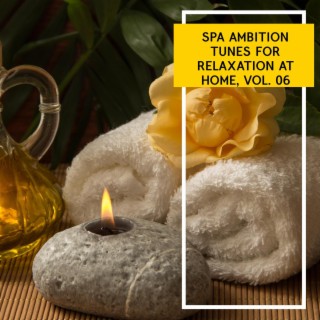 Spa Ambition Tunes for Relaxation at Home, Vol. 06