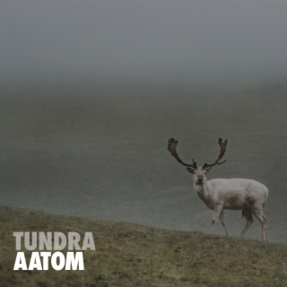 Tundra