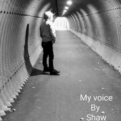 My Voice | Boomplay Music