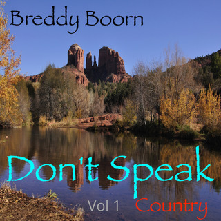 Don't Speack Country Vol 1