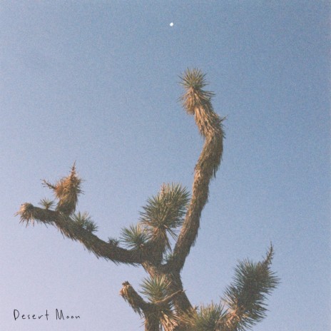 Desert Moon ft. Joe Hayward | Boomplay Music