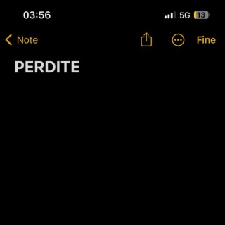 PERDITE lyrics | Boomplay Music