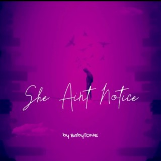 She Aint Notice lyrics | Boomplay Music