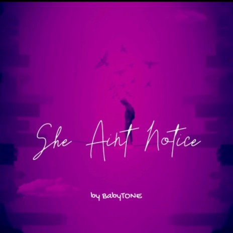 She Aint Notice | Boomplay Music