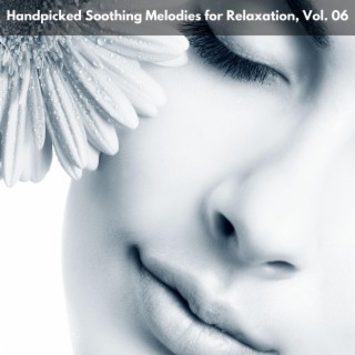 Handpicked Soothing Melodies for Relaxation, Vol. 06