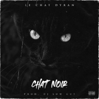 Chat Noir