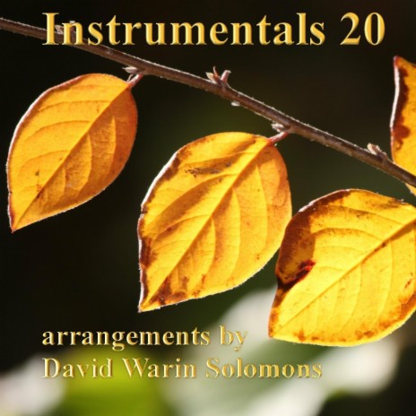 Variations on Remember, O Thou Man (Arr. David Warin Solomons for Flute Quartet) | Boomplay Music