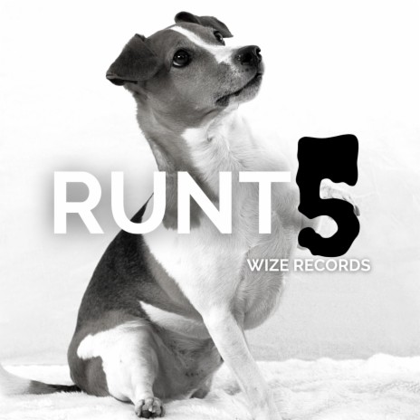 Runt 5 | Boomplay Music