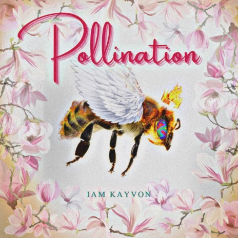 Pollination | Boomplay Music