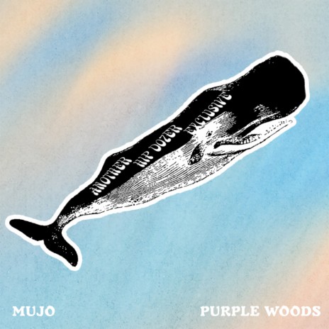 Purple Woods | Boomplay Music