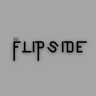 FLIP SIDE lyrics | Boomplay Music