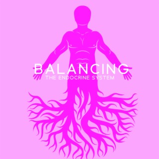 Balancing the Endocrine System: Be at Peace, Stress Relief Helper