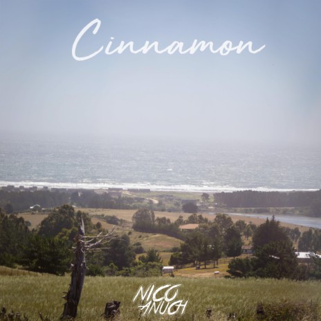 Cinnamon | Boomplay Music