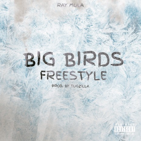 Big Birds Freestyle ft. Tugzilla