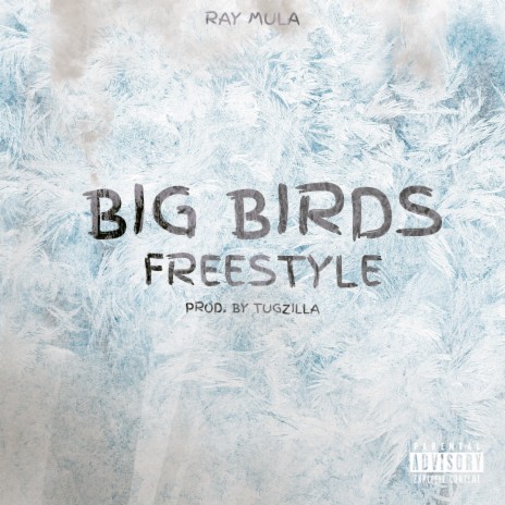 Big Birds Freestyle ft. Tugzilla | Boomplay Music