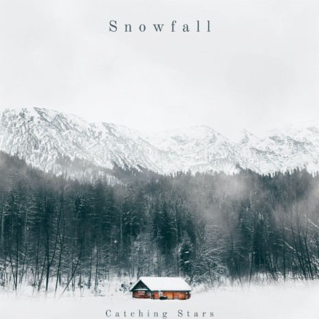 Snowfall ft. Alexey Petersburg