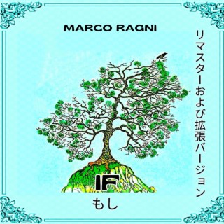 IF (Japanese Edition) (Japanese Edition)