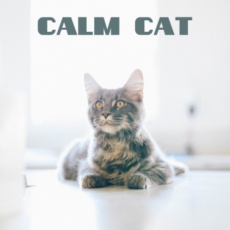 Healing ft. Music for Cats & Cats Music Zone | Boomplay Music