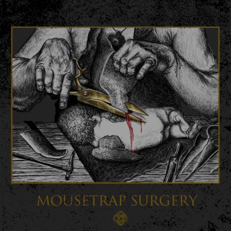 Mousetrap Surgery | Boomplay Music