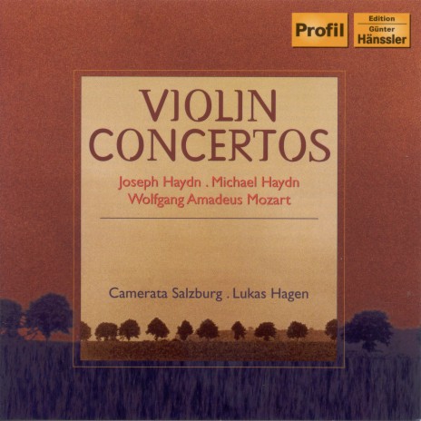 Violin Concerto in G Major, Hob. VIIa:4: III. Allegro ft. Camerata Salzburg | Boomplay Music