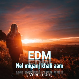 Nel miyanj khali aam (EDM)