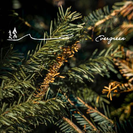 Evergreen (Instrumental) | Boomplay Music