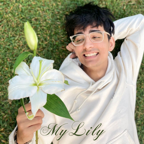 My Lily | Boomplay Music