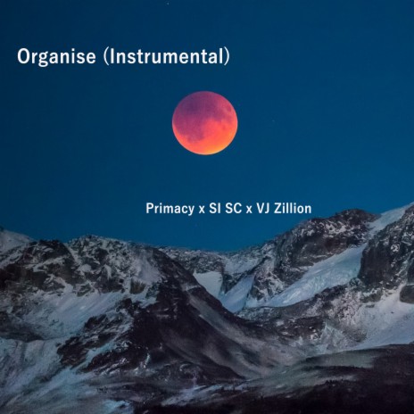 Organise (Instrumental) ft. SI SC & VJ Zillion