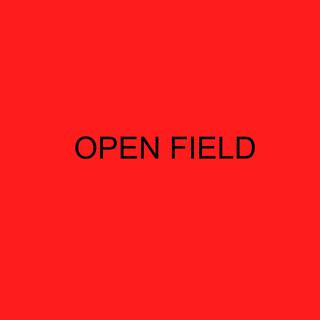 OPEN FIELD