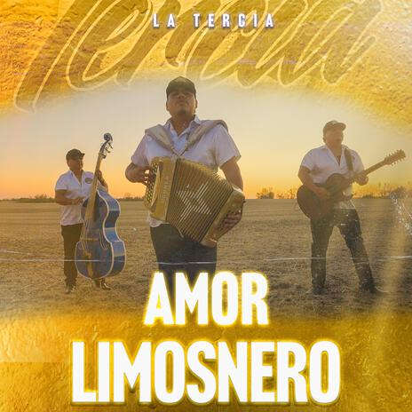 Amor Limosnero | Boomplay Music