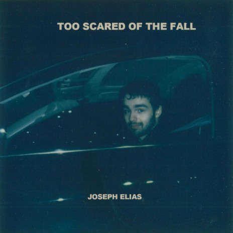 Too Scared of the Fall | Boomplay Music
