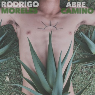 Abre Camino lyrics | Boomplay Music