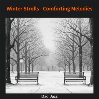 Winter Strolls-Comforting Melodies