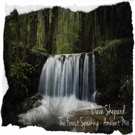 The Forest Speaking (Ambient Mix) | Boomplay Music