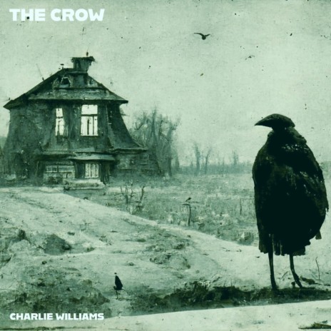 The Crow | Boomplay Music