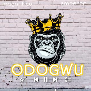 Odogwu