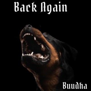 Back Again lyrics | Boomplay Music