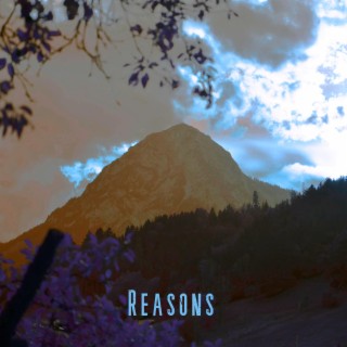 Reasons