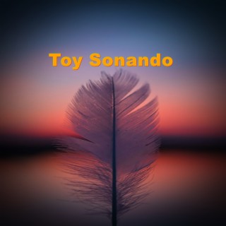 Toy Sonando