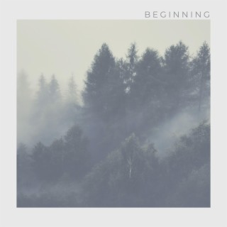 Beginning