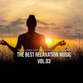 The best relaxing music, Vol. 03 (Relax, Healing, Reduce stress)