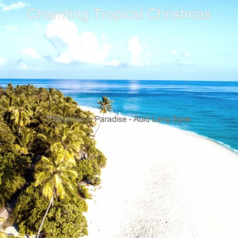 Hark the Herald Angels Sing - Beach Christmas | Boomplay Music