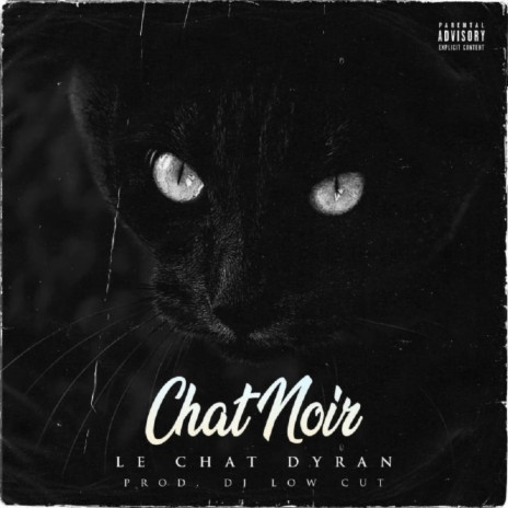 Chat Noir