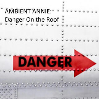 Danger On the Roof