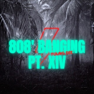 808's Banging pt. 14