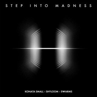 Step Into Madness ft. Shyloom & SWWARMS lyrics | Boomplay Music