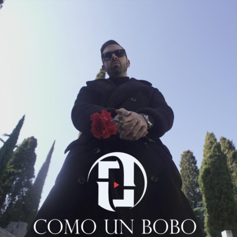 Como un Bobo | Boomplay Music